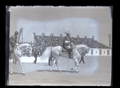 Fotografie necatalogată, cota BU-FD-01073-9-01132-0004