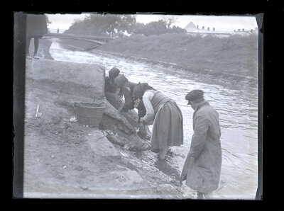Fotografie necatalogată, cota BU-FD-01073-9-01133-0010