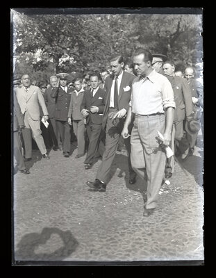 Fotografie necatalogată, cota BU-FD-01073-9-01133-0012