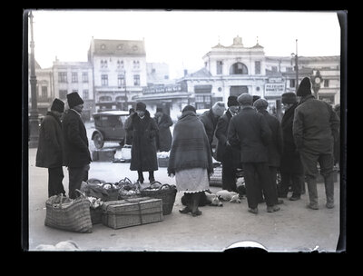 Fotografie necatalogată, cota BU-FD-01073-9-01139-0008