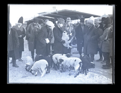 Fotografie necatalogată, cota BU-FD-01073-9-01139-0010