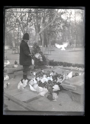 Fotografie necatalogată, cota BU-FD-01073-9-01140-0014