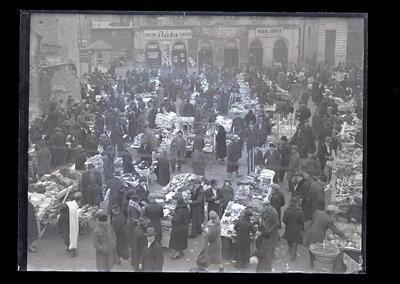 Fotografie necatalogată, cota BU-FD-01073-9-01141-0004