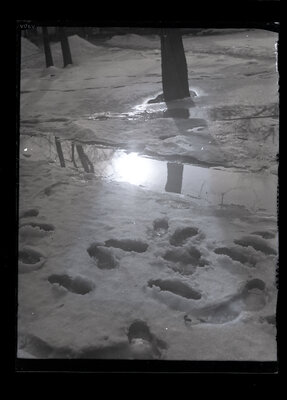 Fotografie necatalogată, cota BU-FD-01073-9-01142-0006