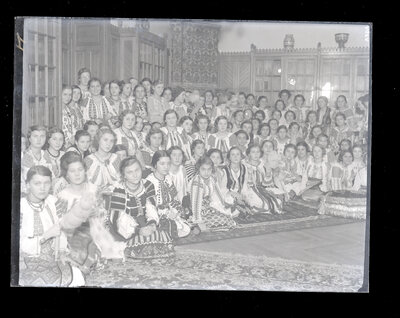 Fotografie necatalogată, cota BU-FD-01073-9-01158-0011