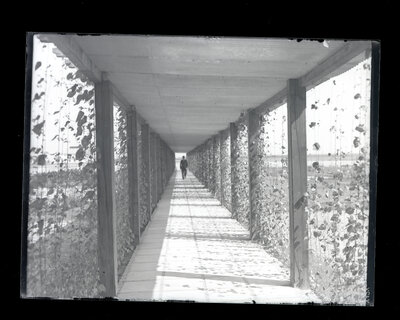 Fotografie necatalogată, cota BU-FD-01073-9-01164-0001