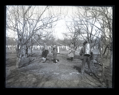 Fotografie necatalogată, cota BU-FD-01073-9-01167-0002