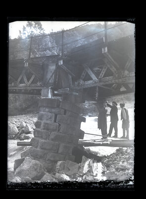 Fotografie necatalogată, cota BU-FD-01073-9-01167-0004