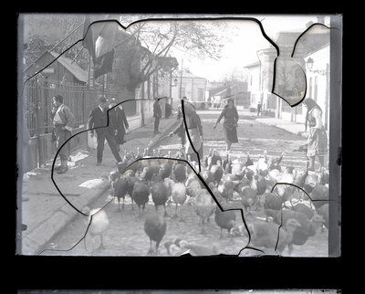 Fotografie necatalogată, cota BU-FD-01073-9-01168-0002