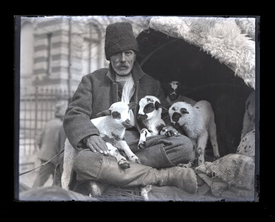 Fotografie necatalogată, cota BU-FD-01073-9-01168-0004