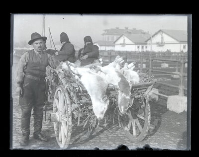 Fotografie necatalogată, cota BU-FD-01073-9-01169-0011