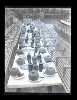 Fotografie necatalogată, cota BU-FD-01073-9-01169-0013