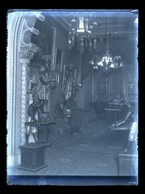 Fotografie necatalogată, cota BU-FD-01073-9-01173-0011