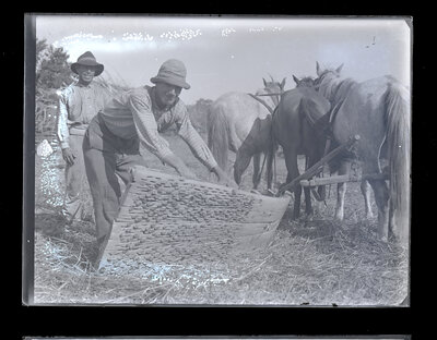 Fotografie necatalogată, cota BU-FD-01073-9-01174-0009