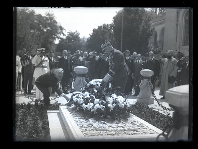 Fotografie necatalogată, cota BU-FD-01073-9-01175-0001