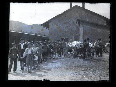 Fotografie necatalogată, cota BU-FD-01073-9-01177-0011