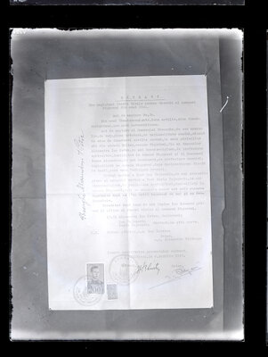Fotografie necatalogată, cota BU-FD-01073-9-01180-0008