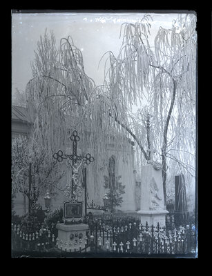Fotografie necatalogată, cota BU-FD-01073-9-01183-0004