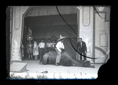 Fotografie necatalogată, cota BU-FD-01073-9-01184-0007
