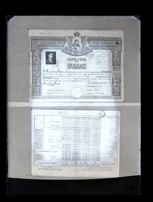 Fotografie necatalogată, cota BU-FD-01073-9-01185-0014