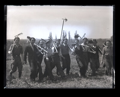 Fotografie necatalogată, cota BU-FD-01073-9-01188-0012