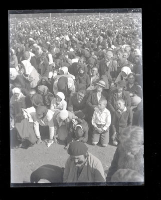 Fotografie necatalogată, cota BU-FD-01073-9-01189-0010