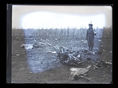 Fotografie necatalogată, cota BU-FD-01073-9-01192-0002