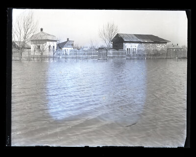 Fotografie necatalogată, cota BU-FD-01073-9-01194-0012