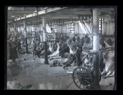 Fotografie necatalogată, cota BU-FD-01073-9-01198-0002