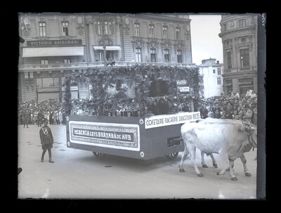Fotografie necatalogată, cota BU-FD-01073-9-01199-0015
