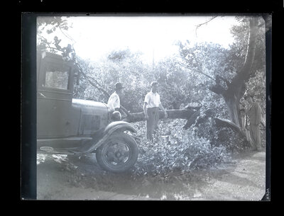 Fotografie necatalogată, cota BU-FD-01073-9-01208-0001