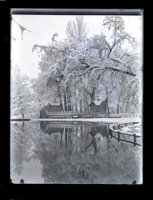 Fotografie necatalogată, cota BU-FD-01073-9-01210-0001