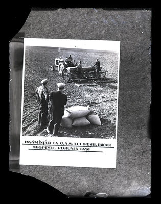 Fotografie necatalogată, cota BU-FD-01073-9-01222-0006