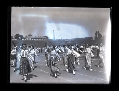 Fotografie necatalogată, cota BU-FD-01073-9-01222-0009