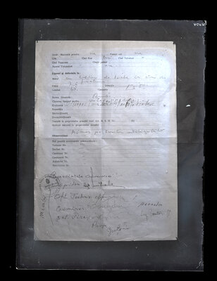 Fotografie necatalogată, cota BU-FD-01073-9-01224-0011