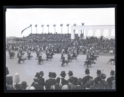 Fotografie necatalogată, cota BU-FD-01073-9-01227-0014