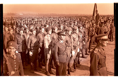 Fotografie necatalogată, cota BU-FD-01073-9-00031-0005