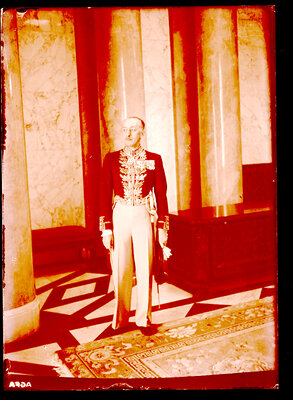 Fotografie necatalogată, cota BU-FD-01073-9-00032-0013