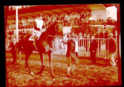 Fotografie necatalogată, cota BU-FD-01073-9-00037-0002