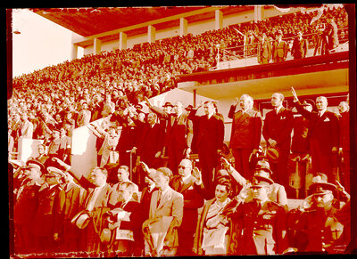 Fotografie necatalogată, cota BU-FD-01073-9-00043-0012