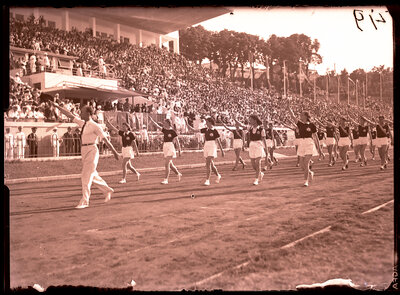 Fotografie necatalogată, cota BU-FD-01073-9-00044-0004