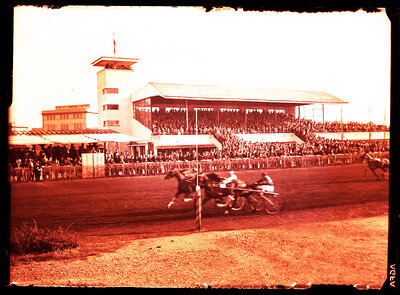 Fotografie necatalogată, cota BU-FD-01073-9-00053-0006