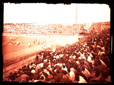 Fotografie necatalogată, cota BU-FD-01073-9-00053-0008
