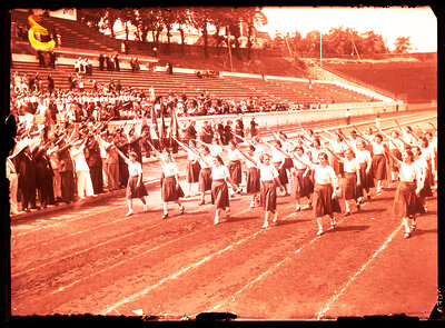 Fotografie necatalogată, cota BU-FD-01073-9-00056-0003