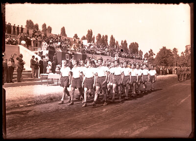 Fotografie necatalogată, cota BU-FD-01073-9-00075-0006