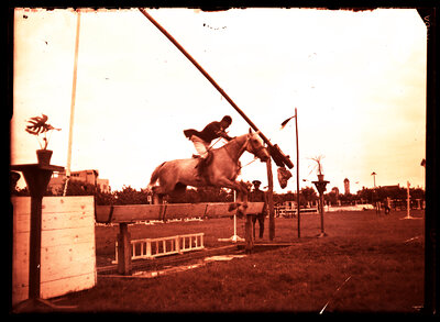 Fotografie necatalogată, cota BU-FD-01073-9-00075-0008