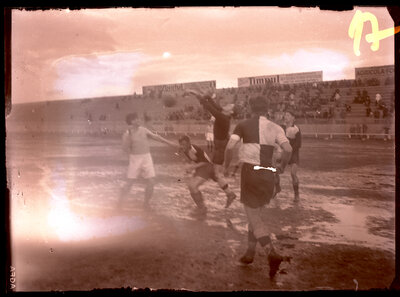Fotografie necatalogată, cota BU-FD-01073-9-00078-0017