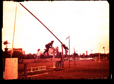 Fotografie necatalogată, cota BU-FD-01073-9-00084-0001