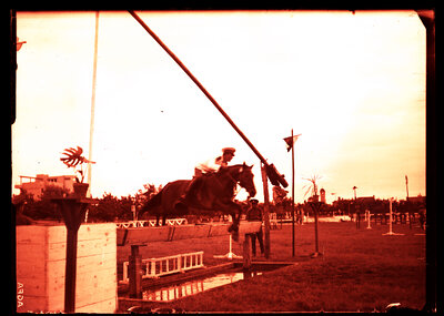 Fotografie necatalogată, cota BU-FD-01073-9-00084-0002