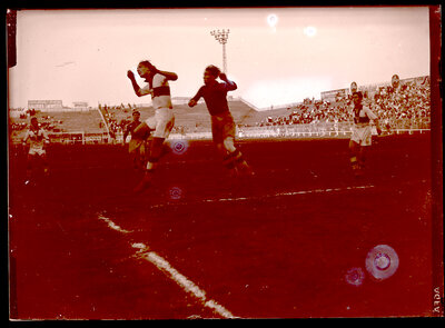 Fotografie necatalogată, cota BU-FD-01073-9-00086-0006